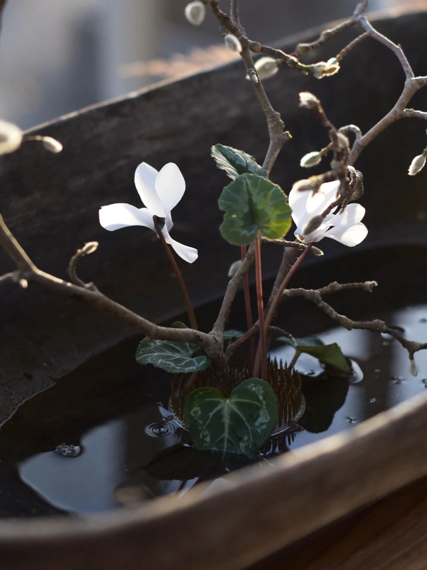 Blomsterfakir Stor - Image 3