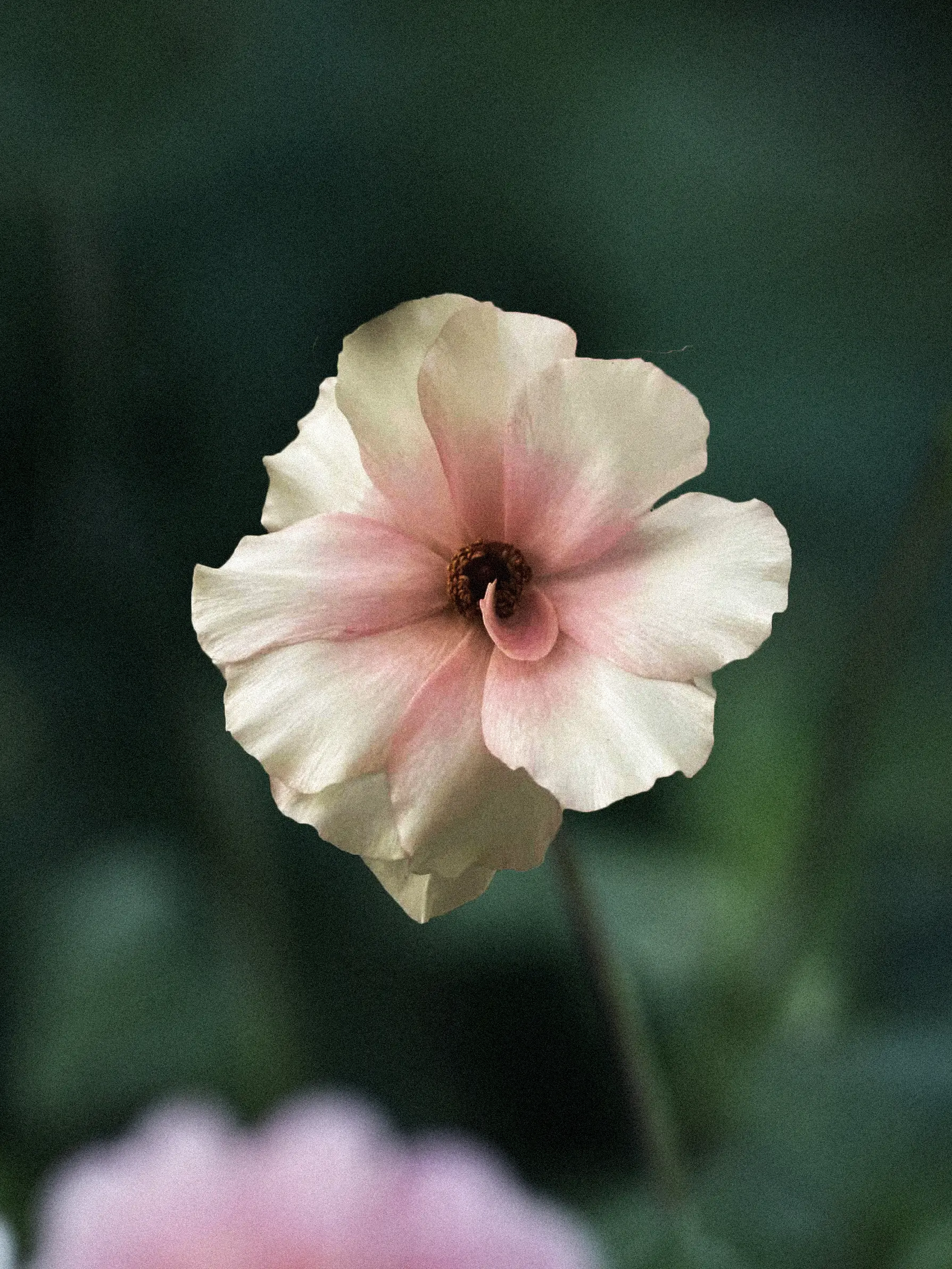 Miniatyrbild 1