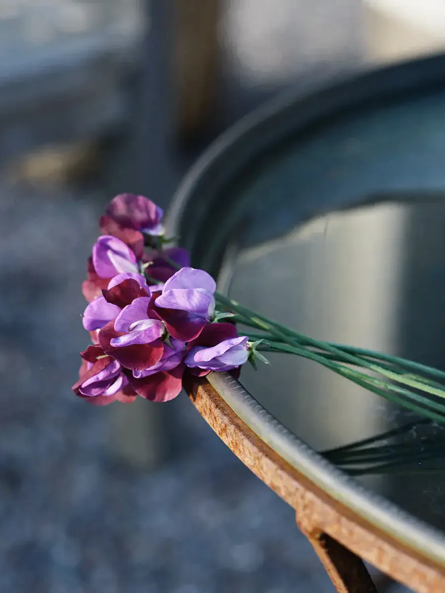 Miniatyrbild 2